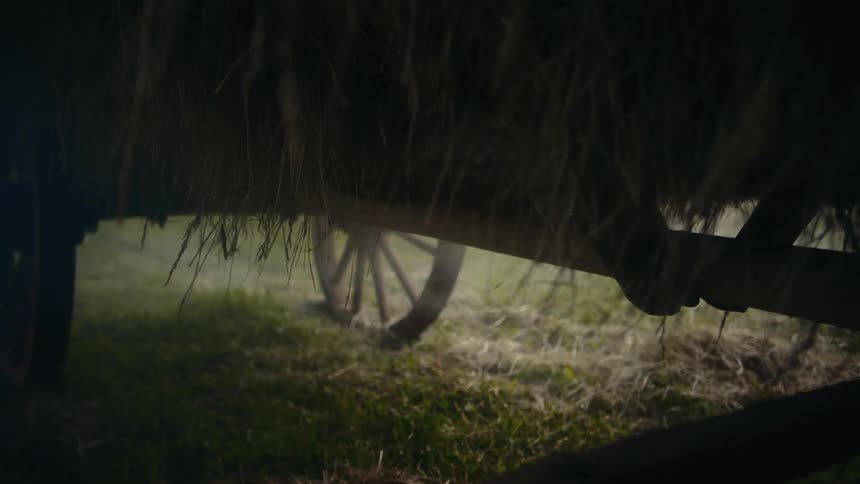 Historic Hay Cart with fog