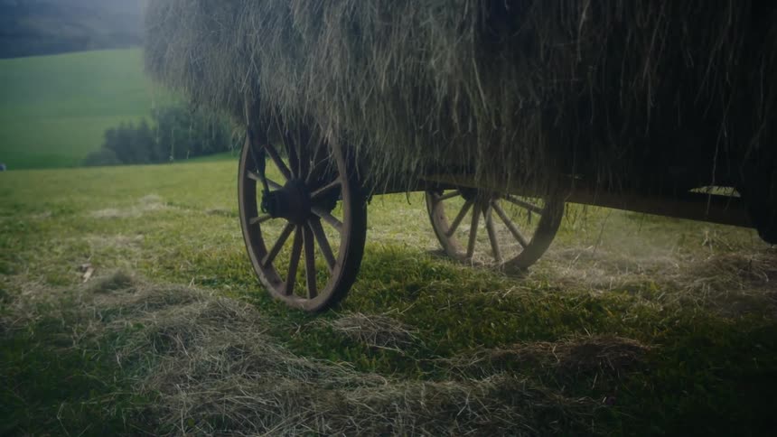 Historic hay cart filled with hay in early morning light