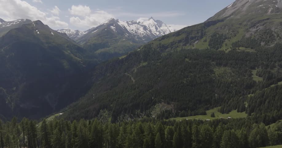 Mountainous landscape with greenish conifers and snowcapped peaks