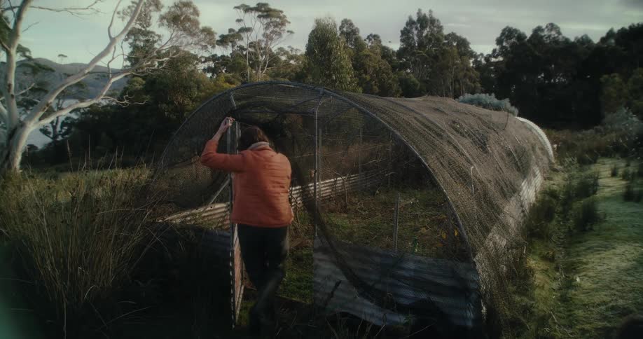 A woman enters a small garden covered in a mesh on the countryside at morning