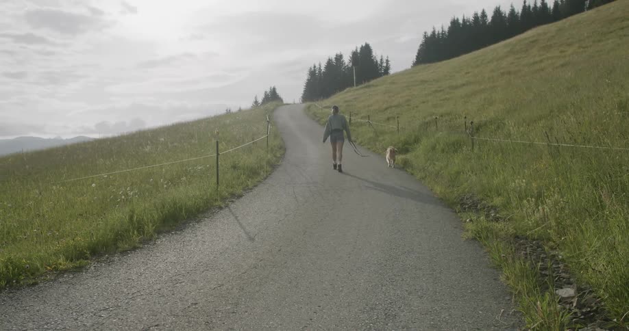 Woman and a dog walking along a rural road surrounded by green fields