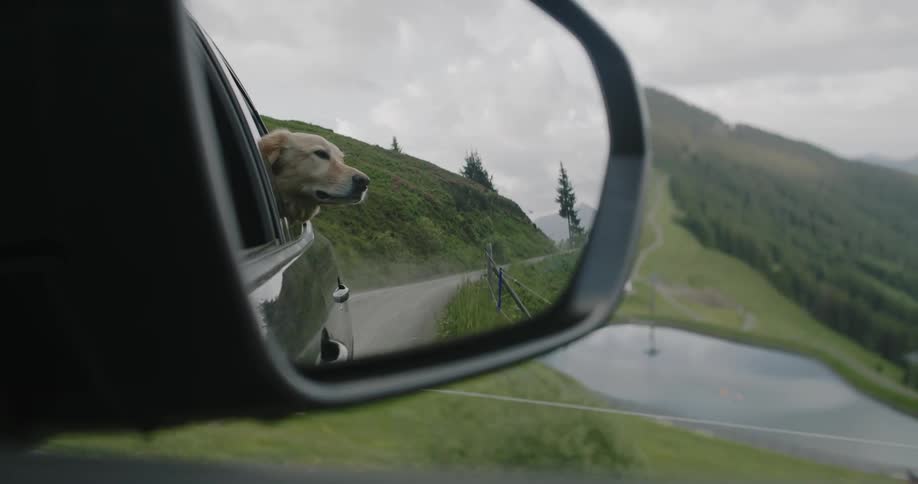 A dog visible in a car side mirror as it drives through a remote area