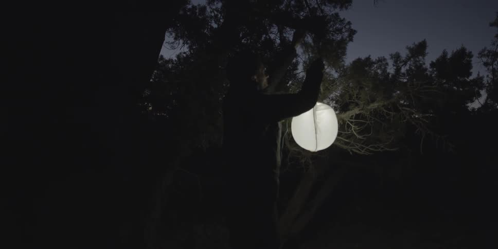 A person hangs a paper lantern on a tree limb