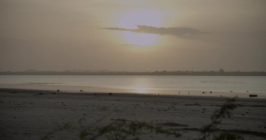 Birds flying over body of water as sun sets