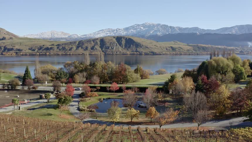 Vineyard with lake view anchored by mountains on the other side