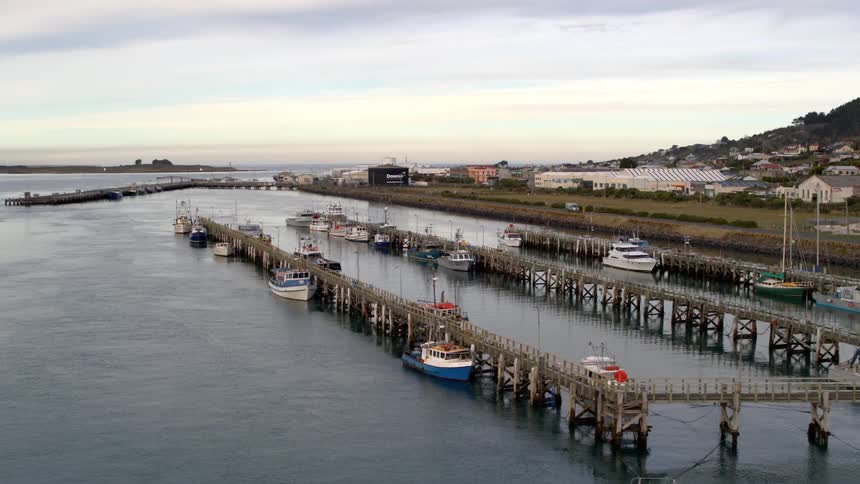 Boats floating in a port near a rural community