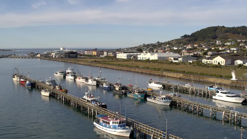 Boats and yachts tied to a dock near a rural town on the coast