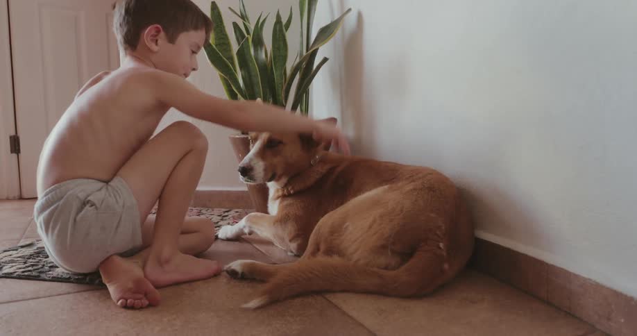 Boy pets his dog in a house