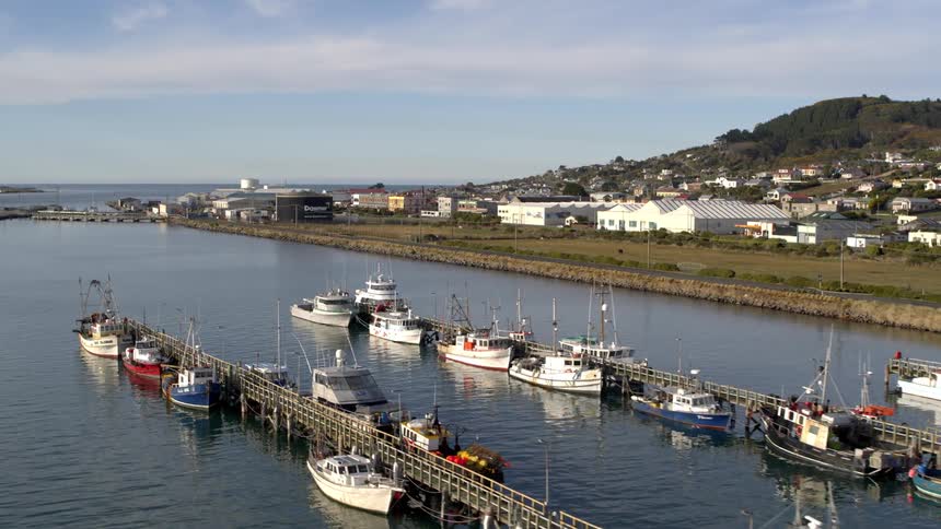 Boats fill a marina near a rural community on a coast