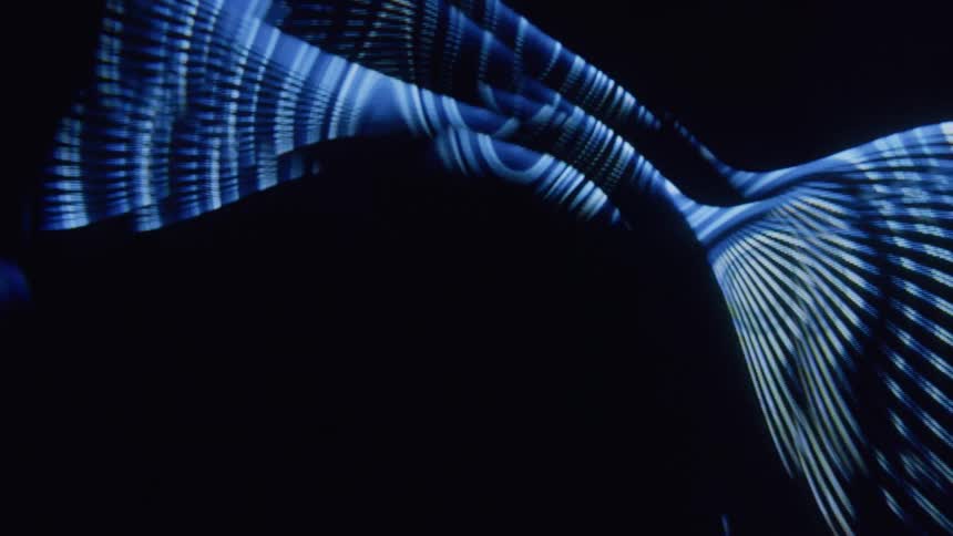 Abstract pattern of curved and wavy lines in motion against a black background