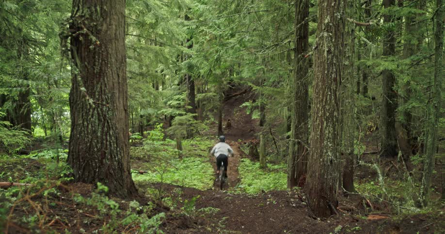 Person riding a bicycle slides their rear tire across a trail in the middle of a green forest