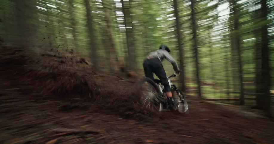 Person on a mountain bike descending a forest at high speed