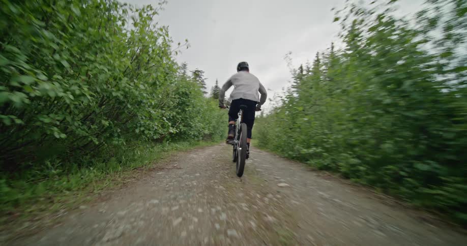 A man races up a dirt path on his mountain bike that cuts through alpine bushes