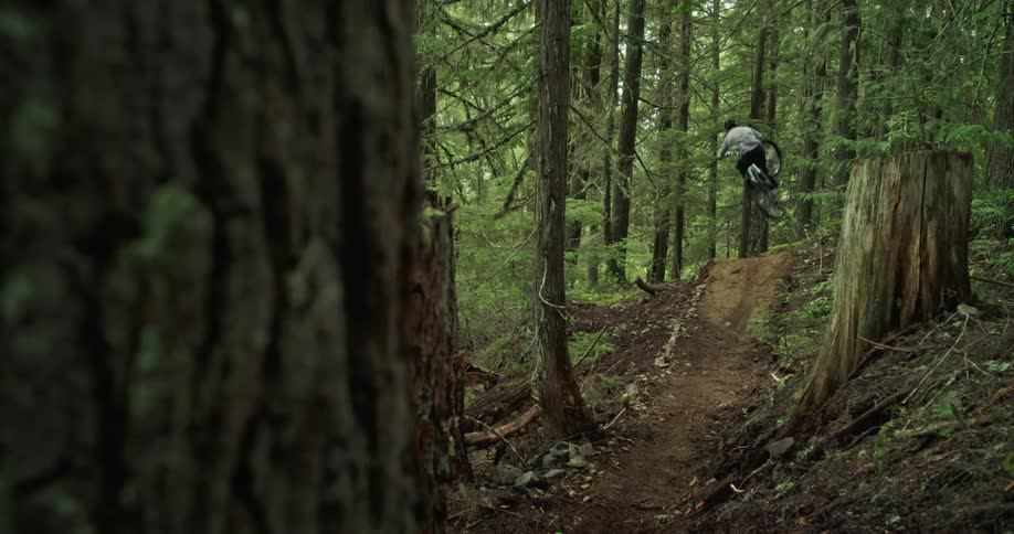 A man riding a bicycle off of a hip jump in a thick green forest