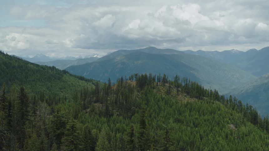 Mountains valley covered in evergreen trees seen on a cloudy day
