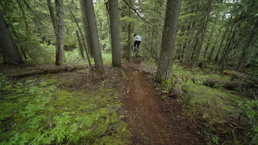 Person on mountain bike jumping through the trees on a fresh forest trail