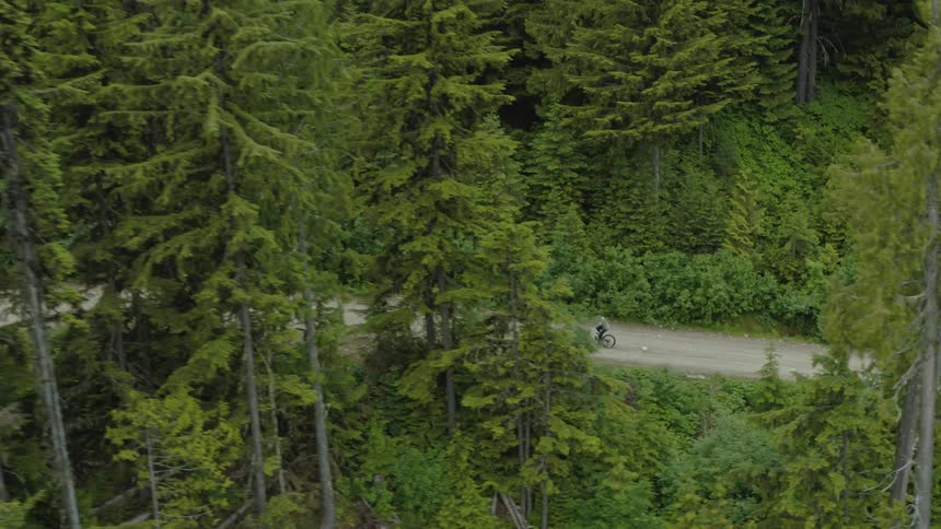 A person rides a bicycle on a remote gravel road in a forest