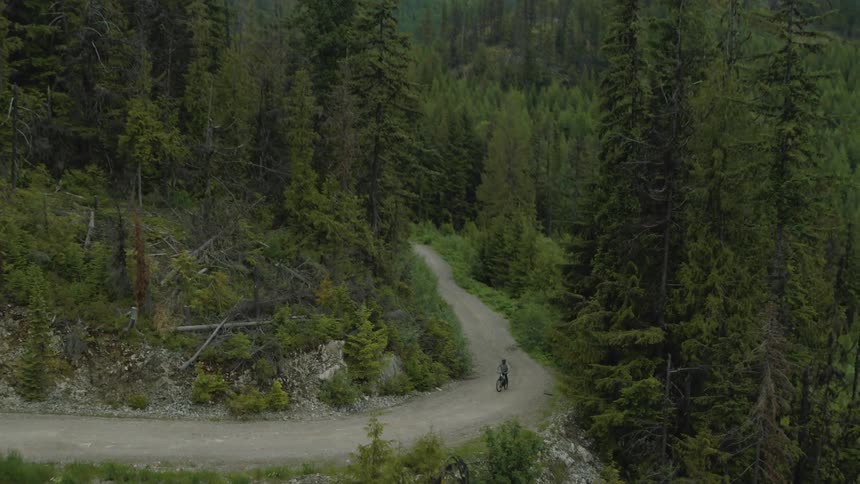 Person on a mountain bike climbing a dirt road on a mountain surrounded by conifers