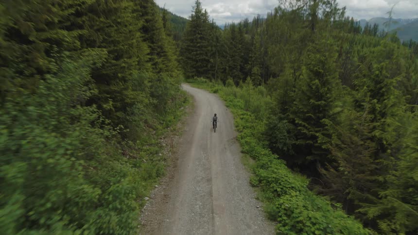 A bicyclist climbs a forest service road in a remote mountainous area