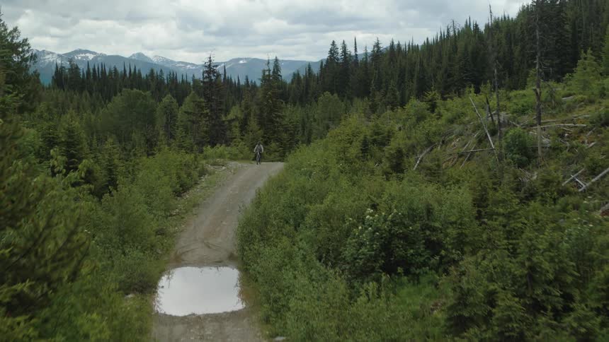 Person on a mountain bike pedalling along a gravel road surrounded by conifers on a cloudy day