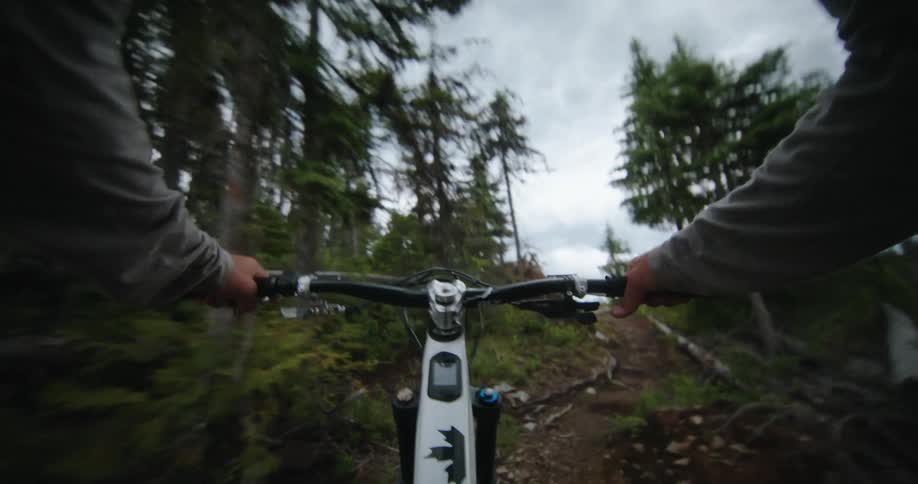 First person perspective of someone riding a bike on an alpine mountain trail