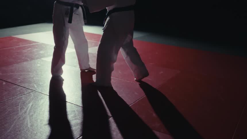 Two people in karate outfit are fighting in an octagon with red floor