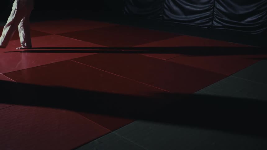 Martial artists performing exercises cast shadows across floor mats