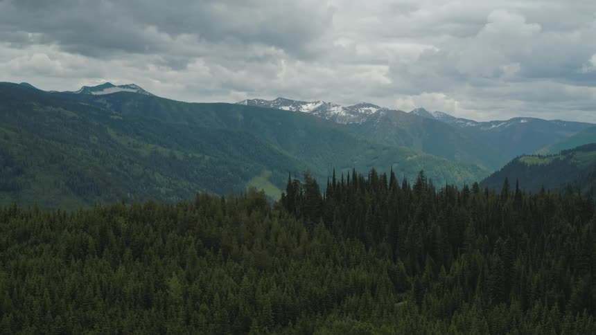 Mountain valley landscape on a cloudy day with layers of green conifers and distant snowy peaks