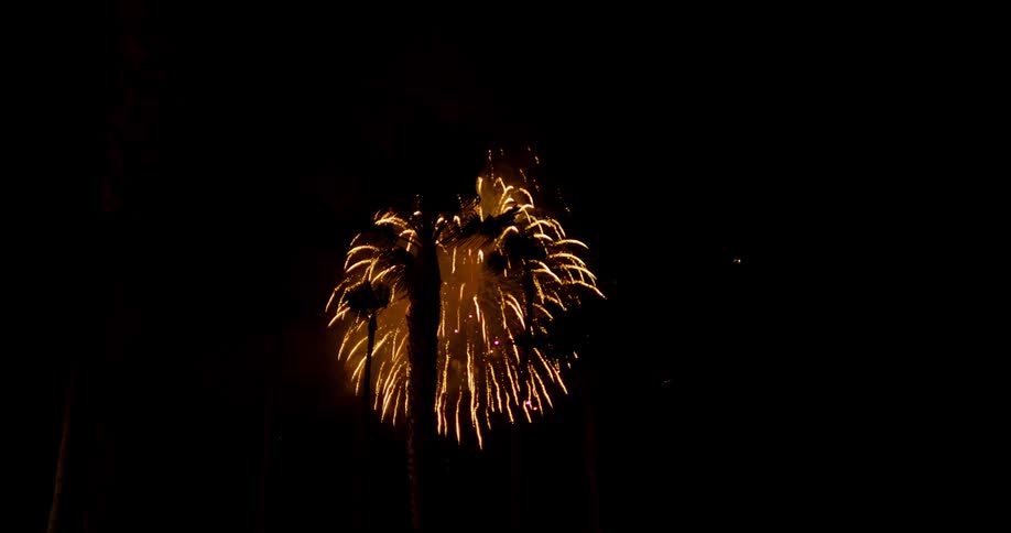 Massive aerial fireworks explode in a night sky past several palm trees