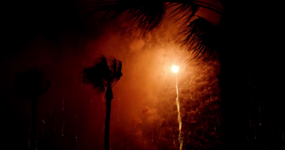 Colorful fireworks in a night sky with the silhouette of palm trees