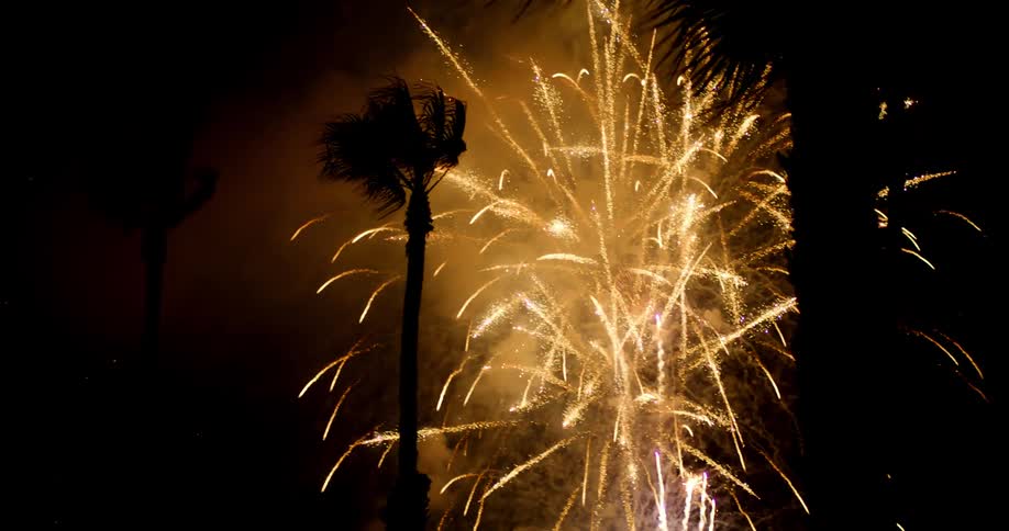 Fireworks at night with silhouette of palm trees