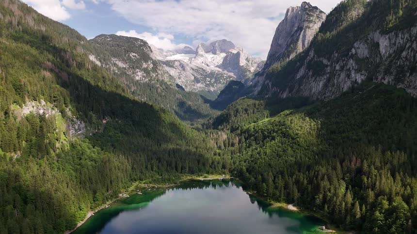 Trees like the lake by the mountains