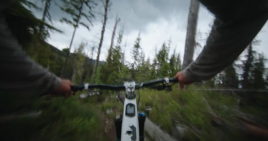 Point of view of a person on a mountain bike cycling through a vegetated mountain environment