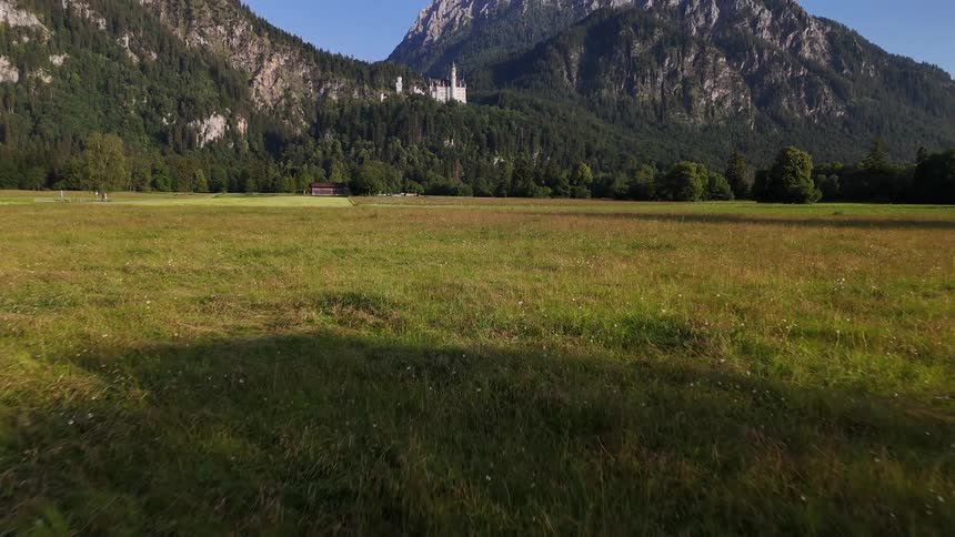 Green field with mountains in the background