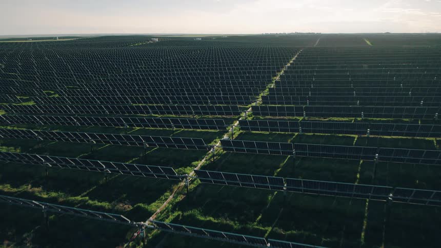 Dense rows of solar panels arrayed in a field in the sun