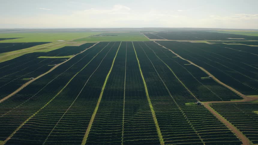 465 megawatt solar farm in a grassy area surrounded by farms