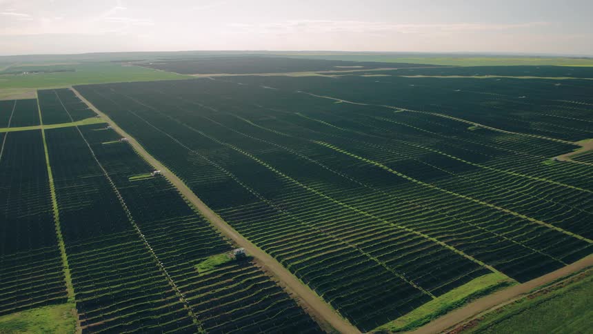 Aerial view of a vast solar farm with numerous rows of photovoltaic panels stretching across a green landscape