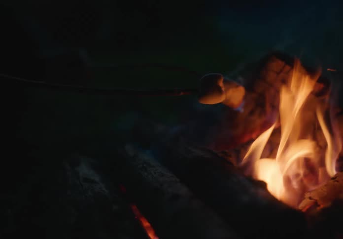 People are roasting marshmallows on the fire