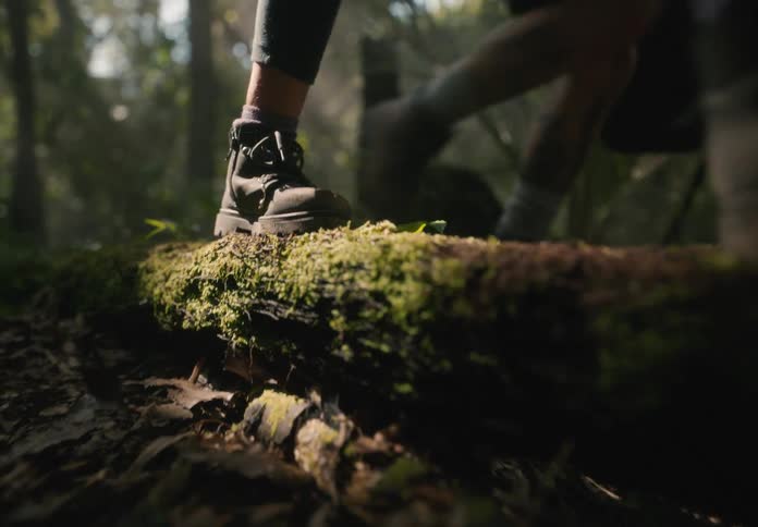 Backpackers hiking through the woods step on a moss covered fallen tree
