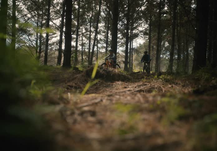 Parent and child ride bicycles through a forest