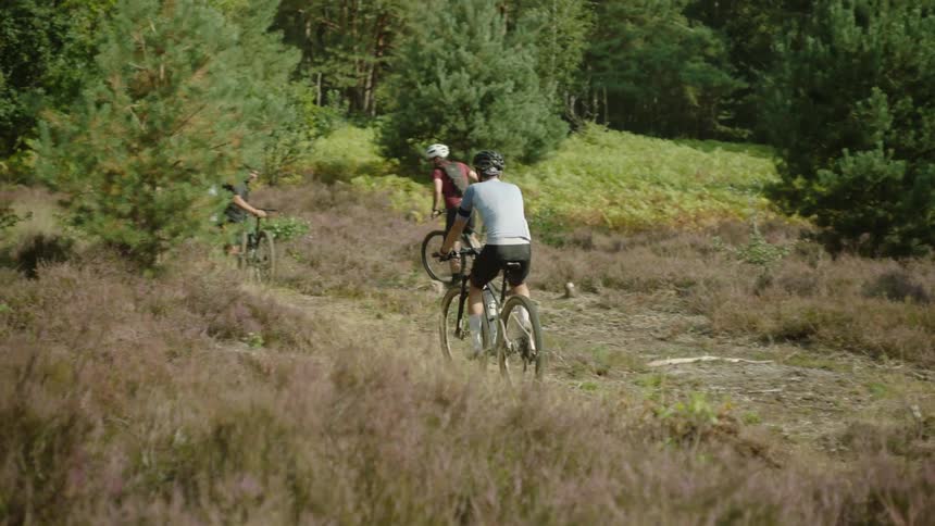 Three people are riding bicycles on a grassy path with some trees