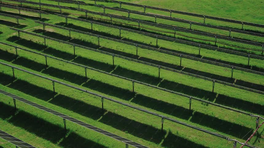 Aerial view of a field with industrial solar panels in the sun