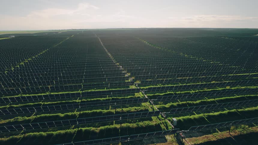 Rows and rows of solar panels stretch across a grassy plain