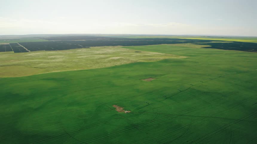 Aerial panorama of Travers Solar Farm in Alberta, Canada