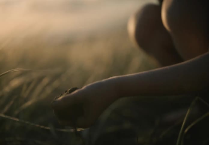 A child grabs soil from a field at dusk