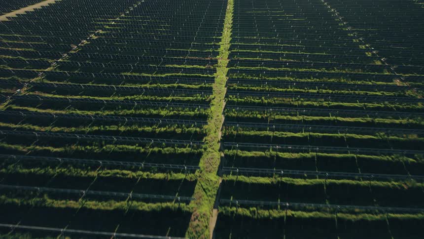 Aerial view of rows of sun-tracking solar panels in the afternoon sun