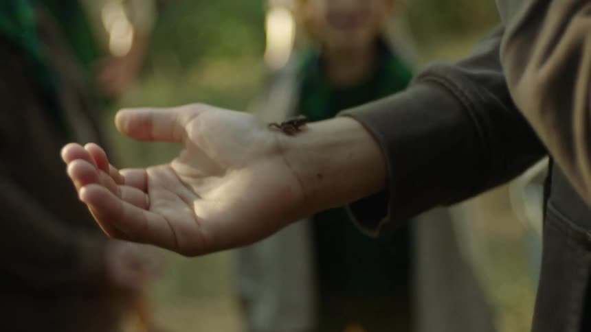 Little frog walking on a persons wrist and arm