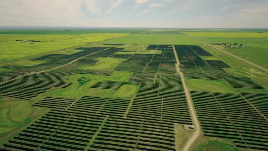 Solar panels cover the green field establisher