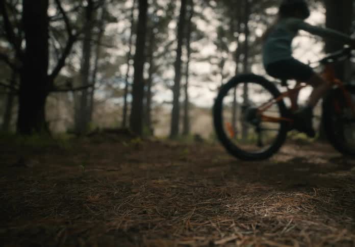 Children riding bicycles in the forest