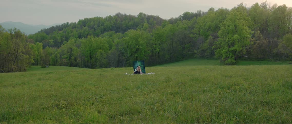 A woman sitting on a white blanket in a grassy field facing away from the camera painting on a large canvas